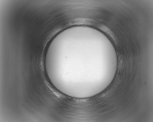 X0000070410882200606090953