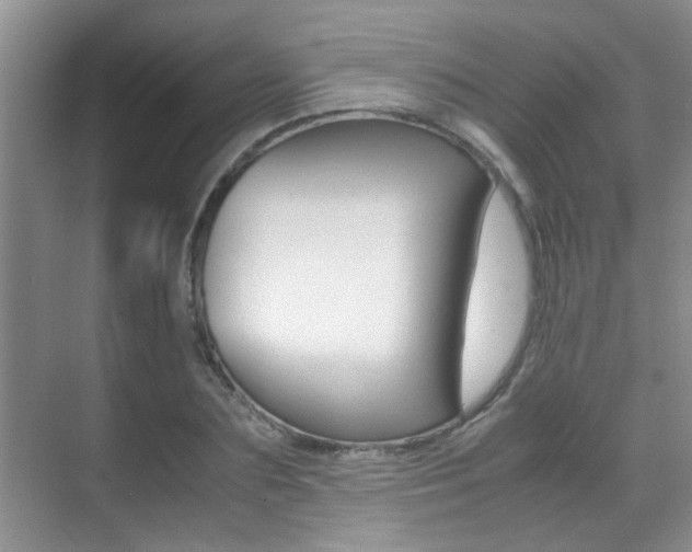 X0000070410883200606090953