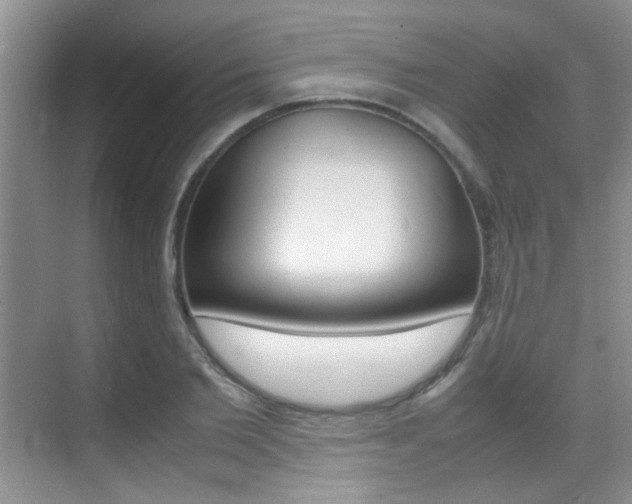 X0000070410885200606090953