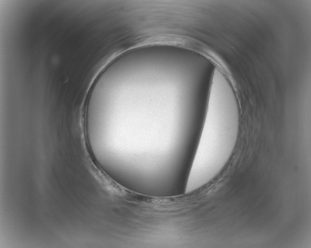X0000070410907200606090952