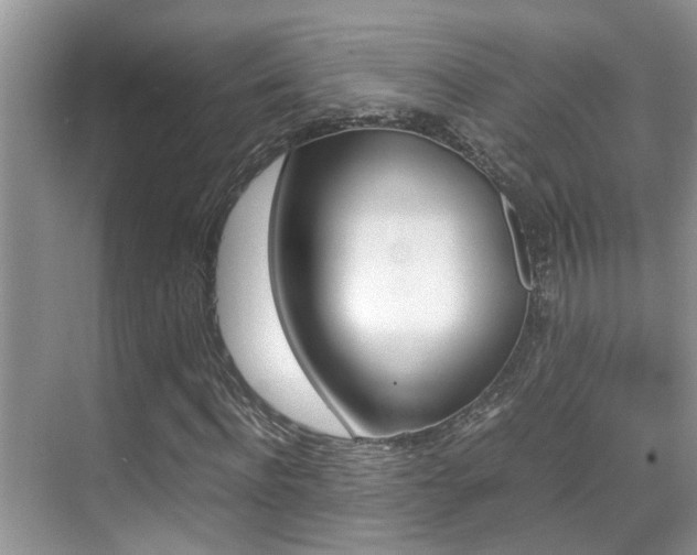X0000070410916200606090951