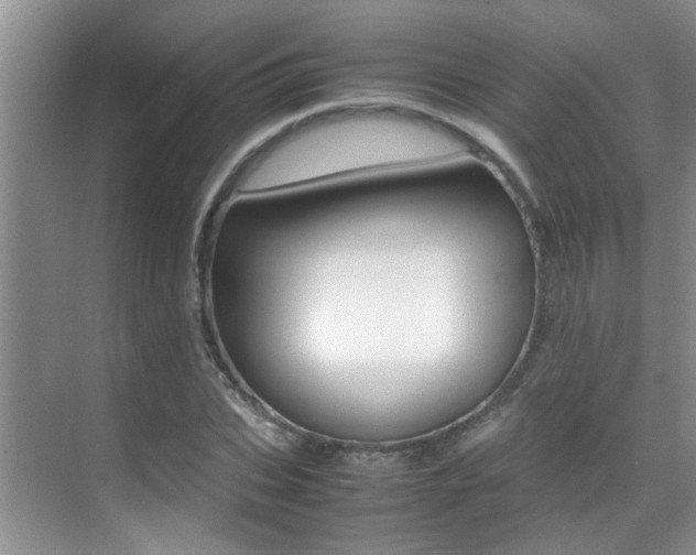 X0000070410927200606090951