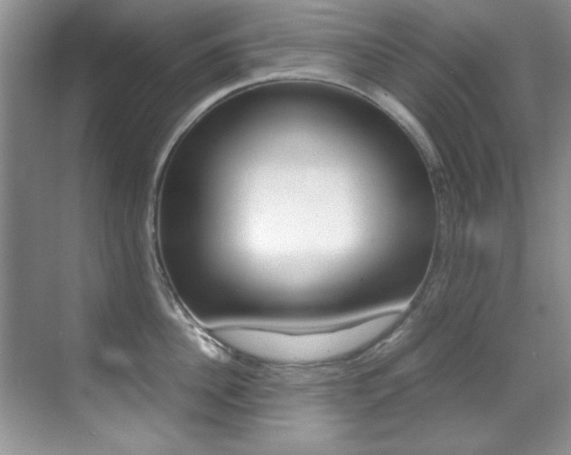 X0000070410956200606090952