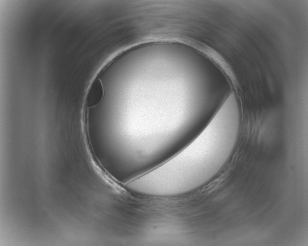 X0000070410958200606090952