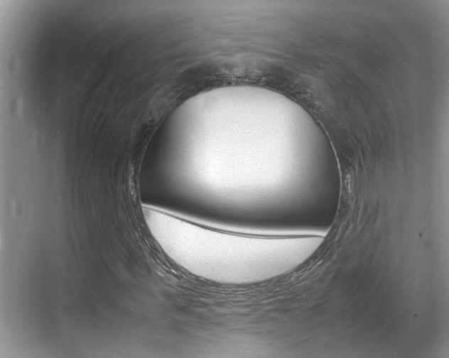 X0000070410963200606090951