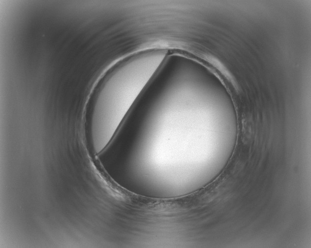 X0000070410972200606090951