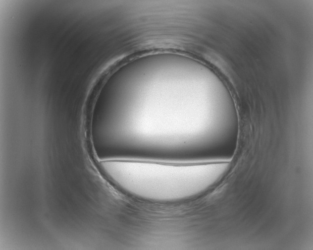 X0000070410979200606090951