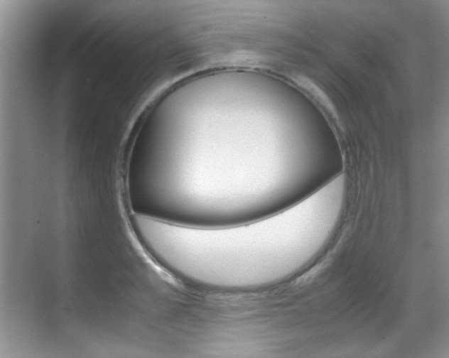 X0000070410989200606090951