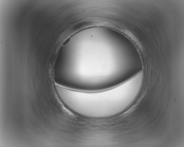 X0000070411001200606090951