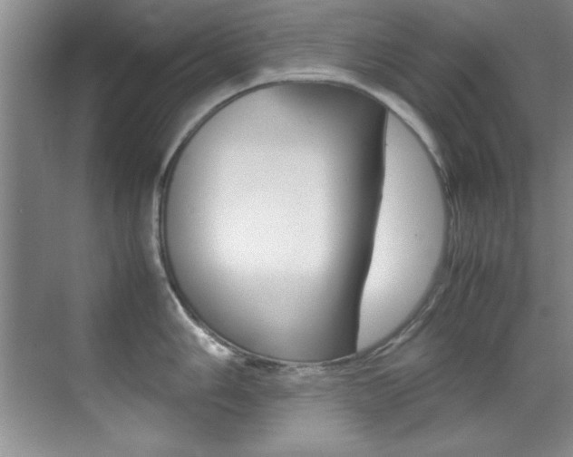 X0000070411006200606090950