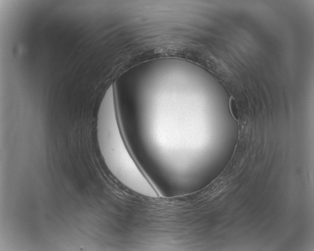 X0000070411012200606090950