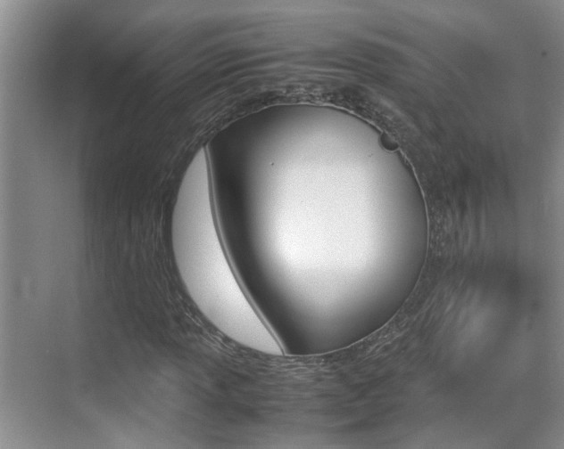 X0000070411013200606090950