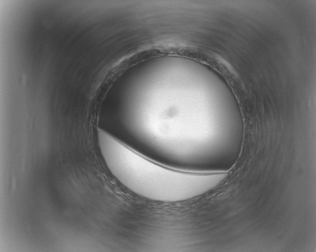 X0000070411016200606090950