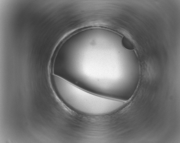 X0000070411032200606090950