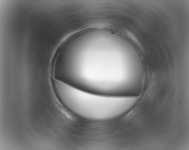 X0000070411035200606090950