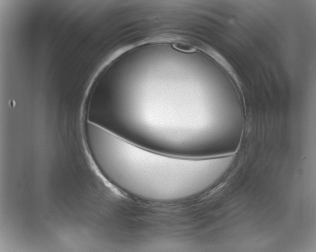 X0000070411053200606090950