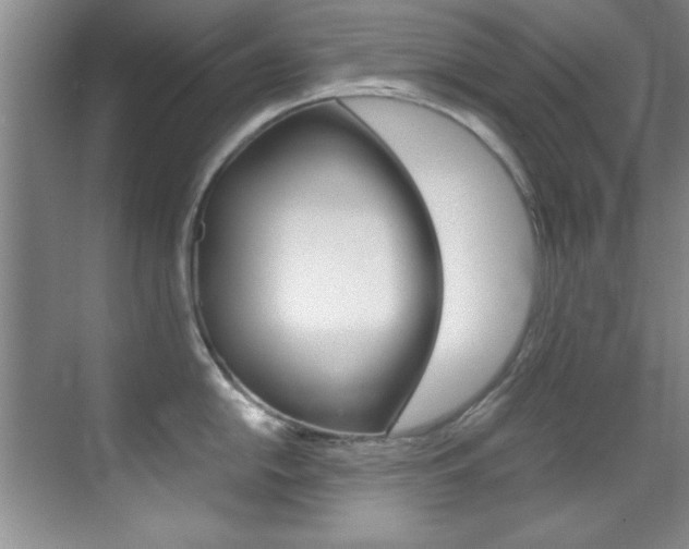 X0000070411054200606090950