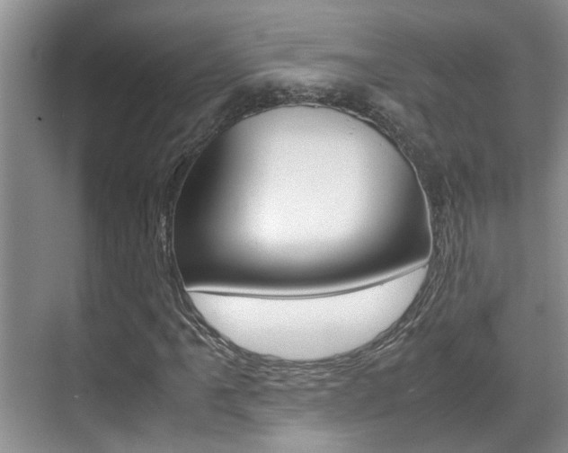 X0000070411061200606090950