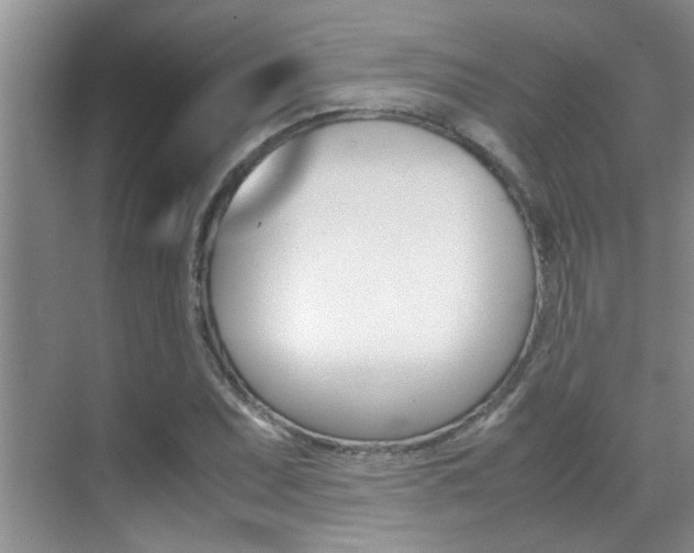 X0000070411071200606090949