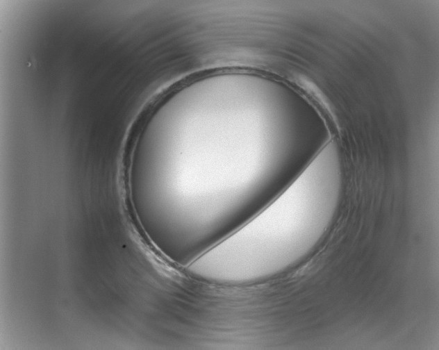X0000070411072200606090949