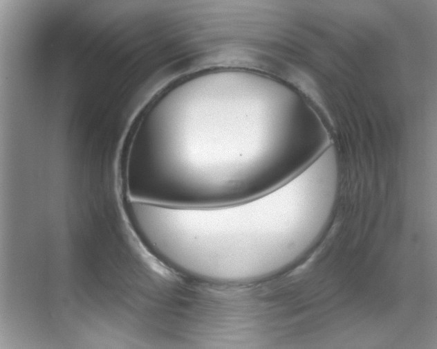 X0000070411082200606090949