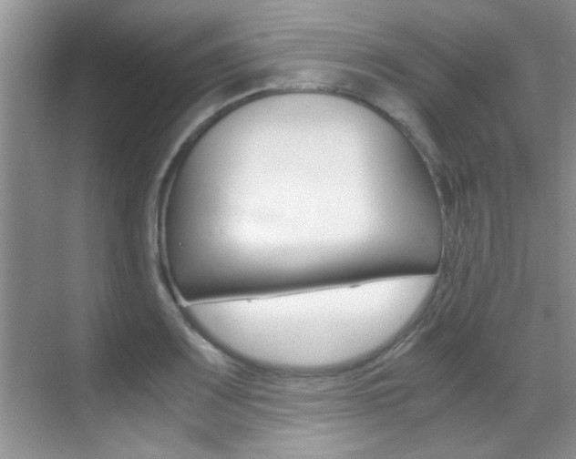 X0000070411083200606090949
