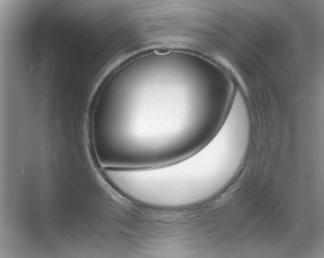 X0000070411085200606090949