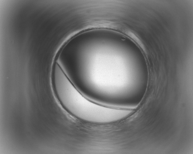 X0000070411093200606090949