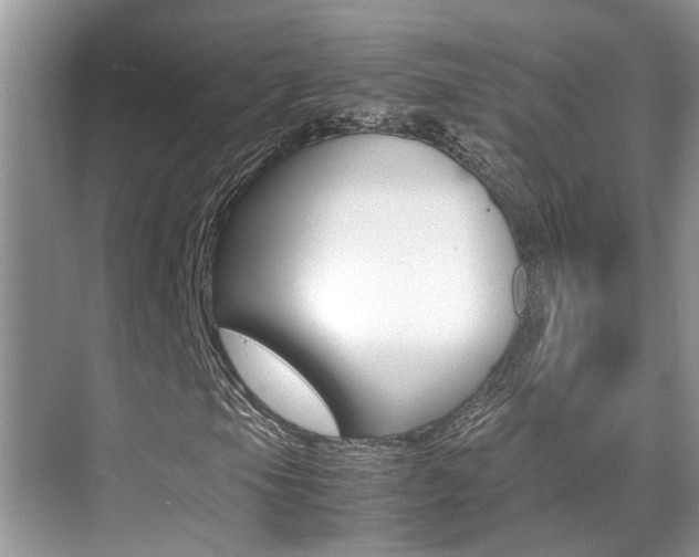 X0000070411105200606090948