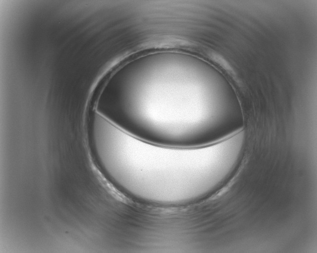 X0000070411122200606090948