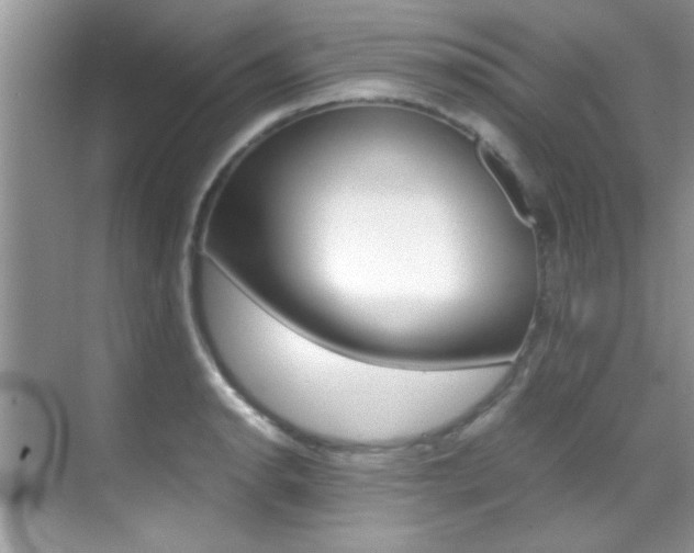 X0000070411134200606090949