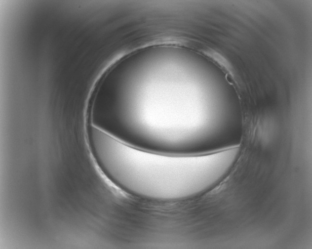 X0000070411135200606090949