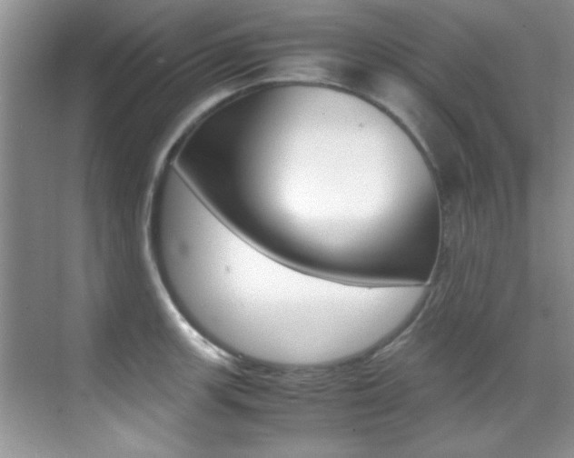 X0000070411139200606090949