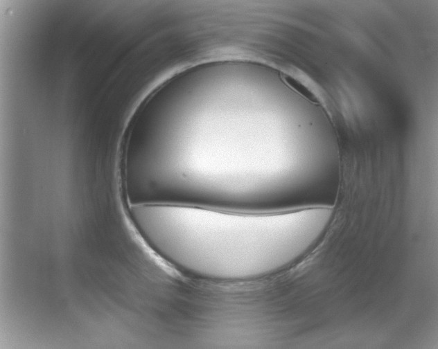 X0000070411142200606090949