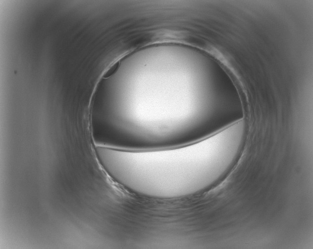 X0000070411145200606090949
