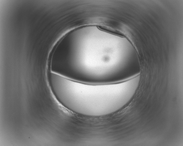X0000070411147200606090949