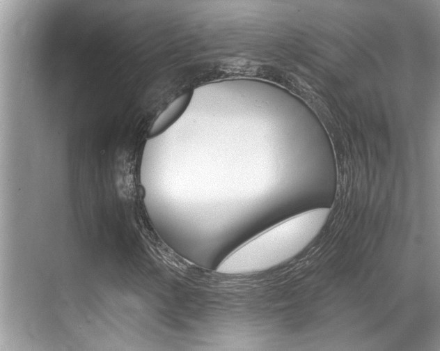 X0000070411154200606090948