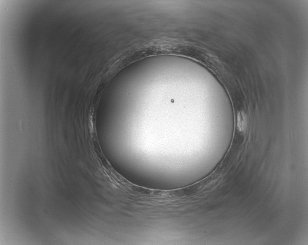 X0000070411155200606090948