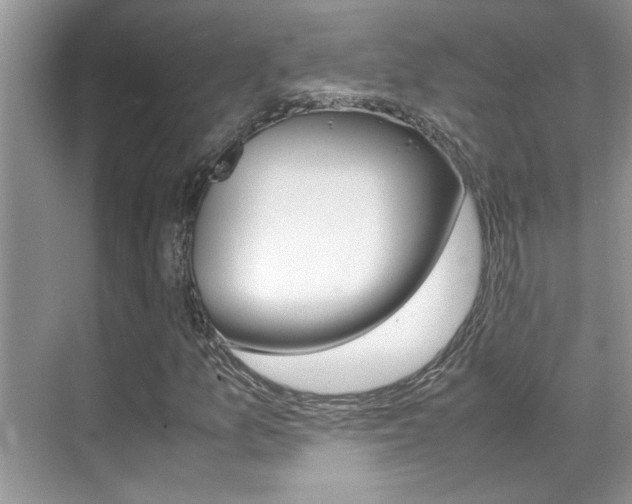 X0000070411157200606090948