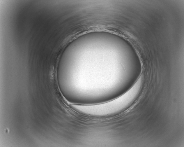 X0000070411161200606090948