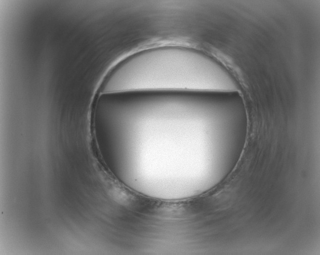 X0000070411174200606090948