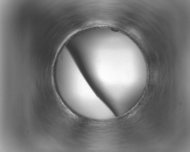 X0000070411182200606090948