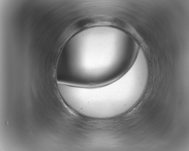 X0000070411193200606090947