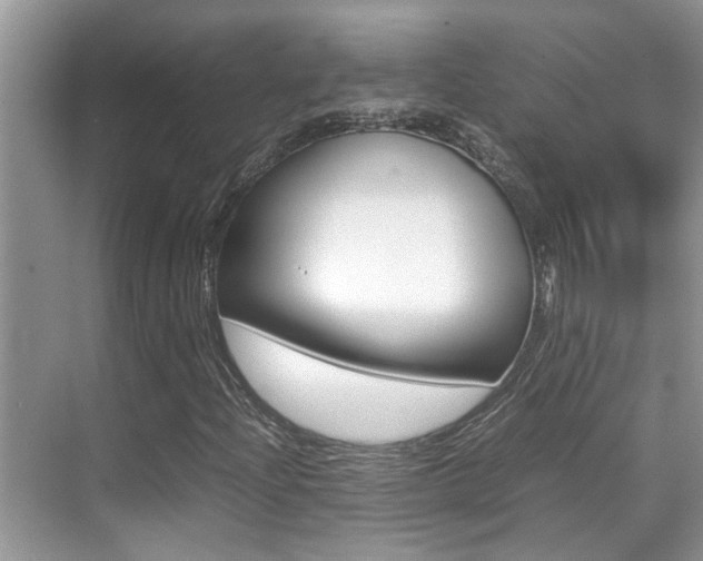 X0000070411204200606090946