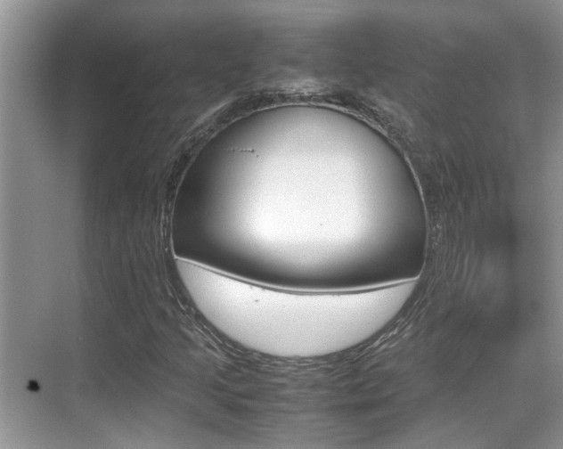 X0000070411205200606090946