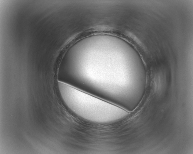 X0000070411213200606090947