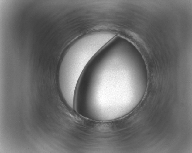 X0000070411217200606090947