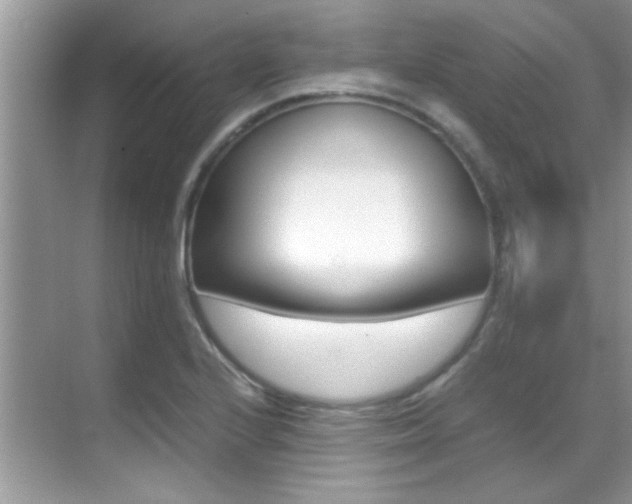 X0000070411224200606090947