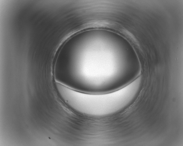 X0000070411226200606090947