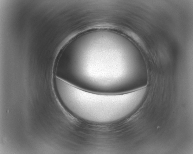 X0000070411229200606090947